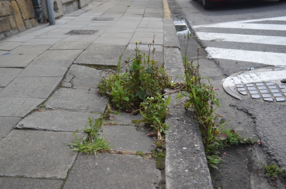 Proposition 9: Réparer les trottoirs défectueux de la commune pour garantir la qualité de l’espace public